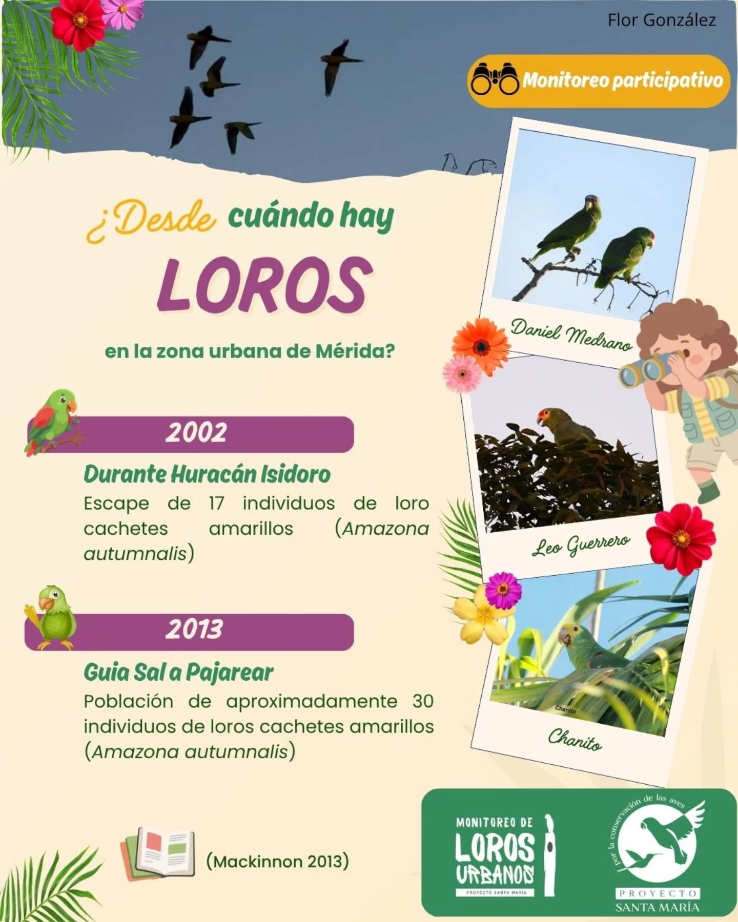 Loros de la Plaza Grande, bombardeados otra vez con pirotecnia