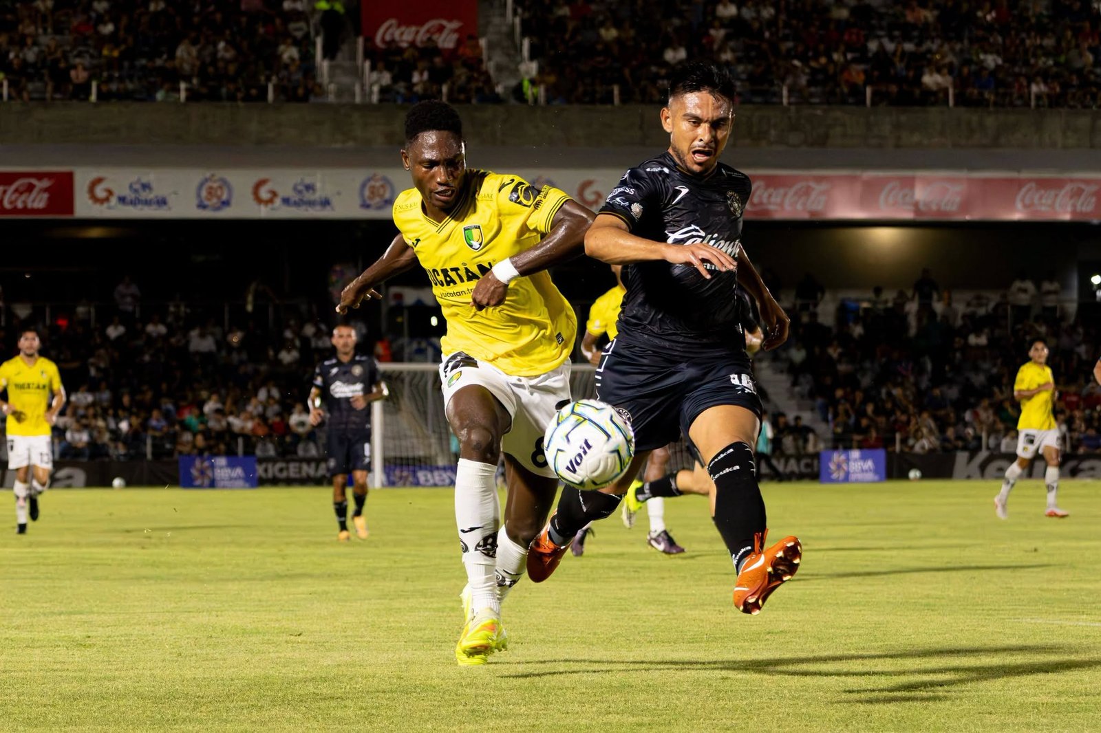 Venados cae en el Pirata Fuente