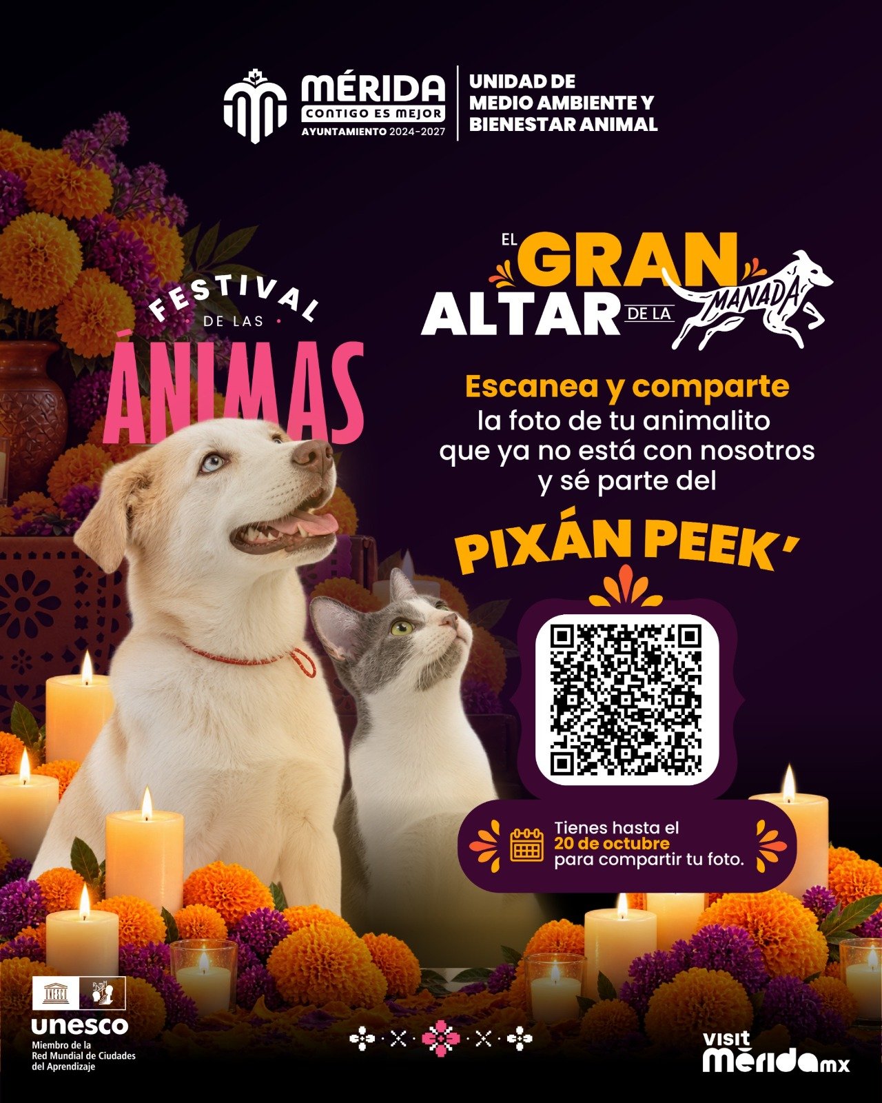 Pixán Peek del Ayuntamiento de Mérida, oportunidad para recordar a perros y gatos que dejaron huella.