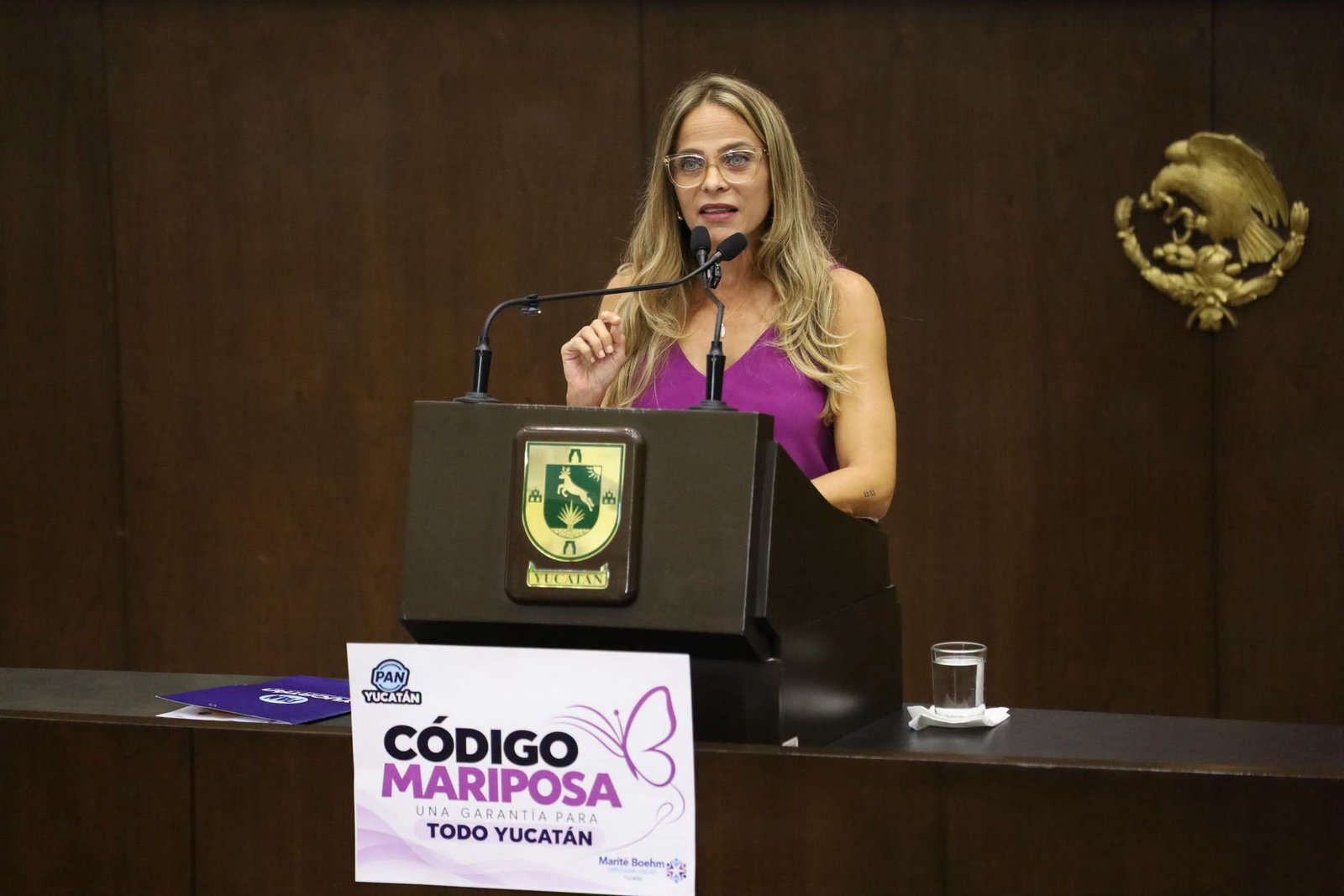 Que ninguna mamá enfrente sola una pérdida: propone PAN Yucatán Código Mariposa