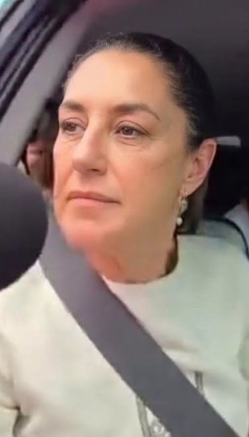 La presidenta de México, Claudia Sheinbaum no consideró necesario hablar con la manifestante, Josefina Ramos debido a que todas sus solicitudes ya fueron resueltas.