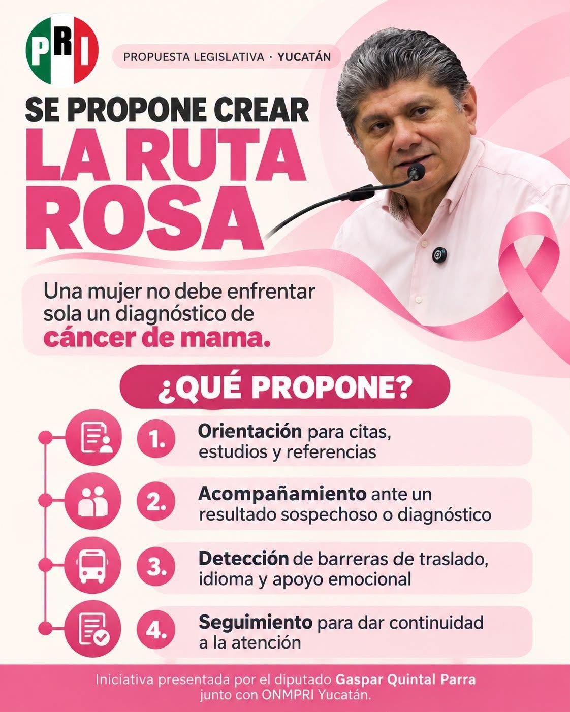 PROPONE EL PRI CREAR LA RUTA ROSA EN YUCATÁN